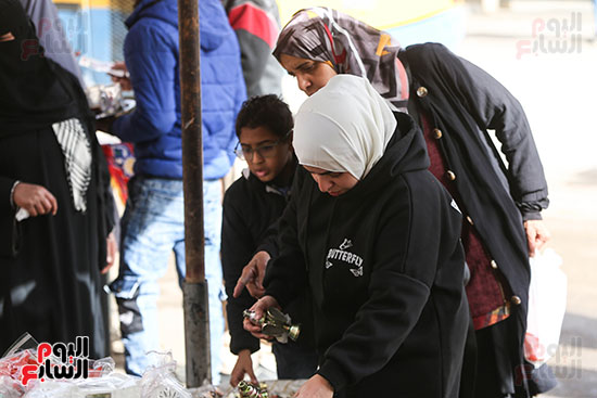 أختيار الفانوس