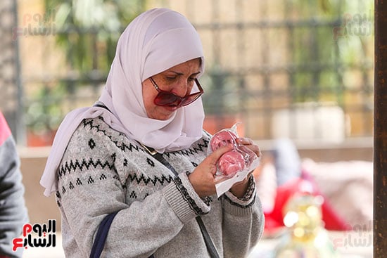 الفانوس البلاستيك