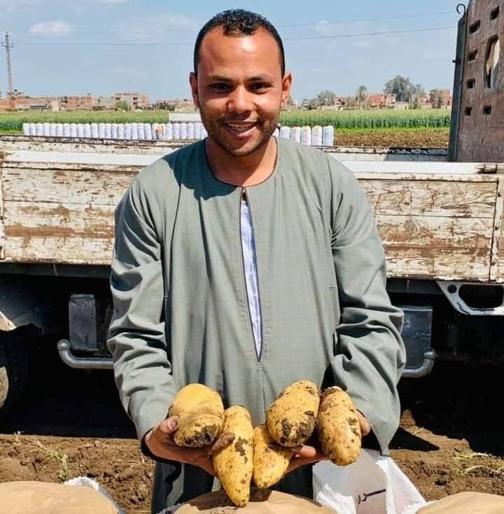 إحدى التجار يحمل البطاطس 