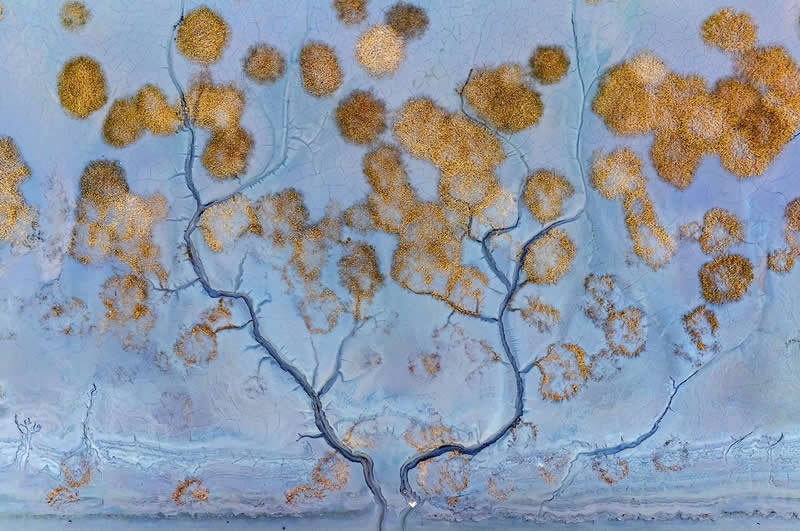 5 المناظر الطبيعية – الفائز شجرة المال 5 المناظر الطبيعية – الفائز شجرة المال