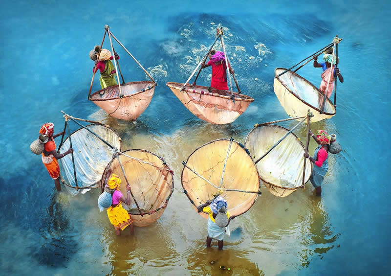 2 الناس والثقافة – المركز الثاني دوائر الحياة 2 الناس والثقافة – المركز الثاني دوائر الحياة