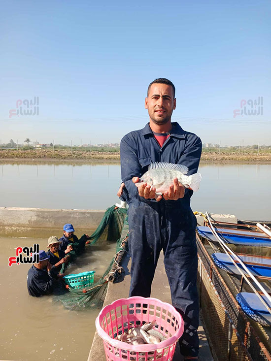 صيادو-الشرقية