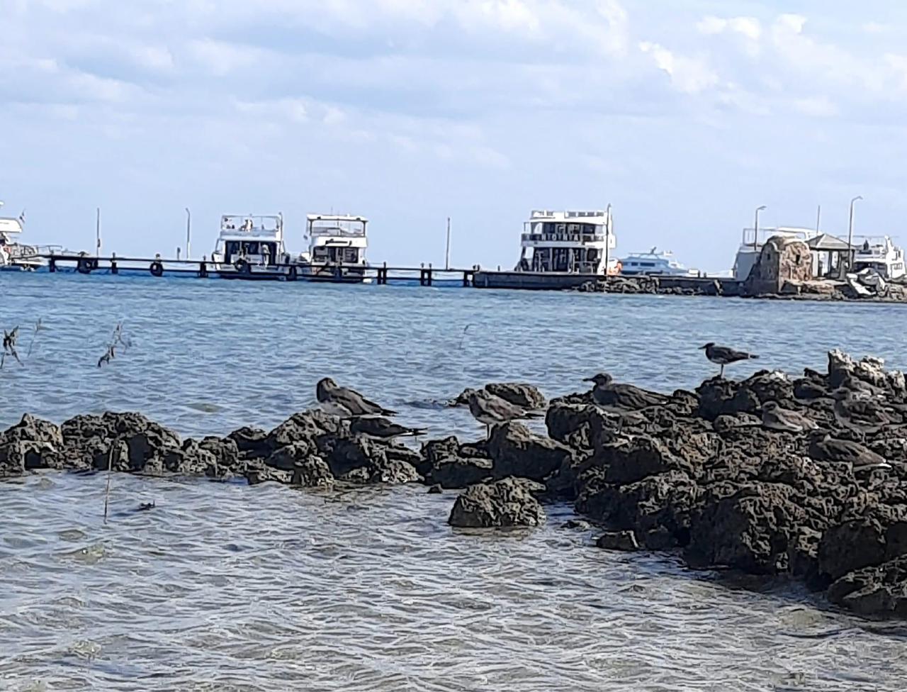 حماطه نقطة انطلاق اللنشات السياحية بالجنوب حماطه نقطة انطلاق اللنشات السياحية بالجنوب