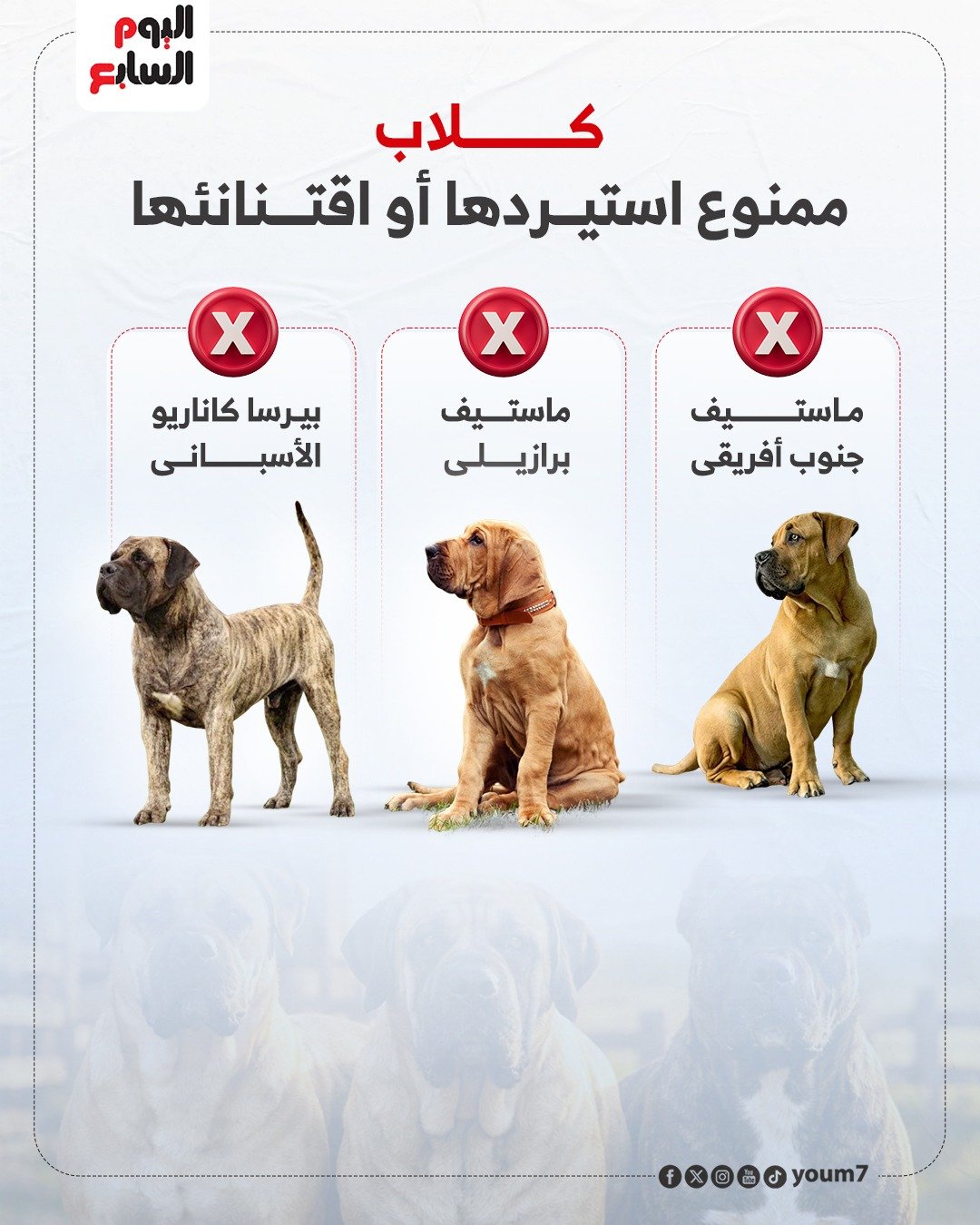 WhatsApp Image 2026-01-18 at 1.30.38 PM