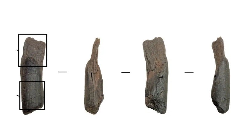 أدوات خشبية عمرها 430 عام