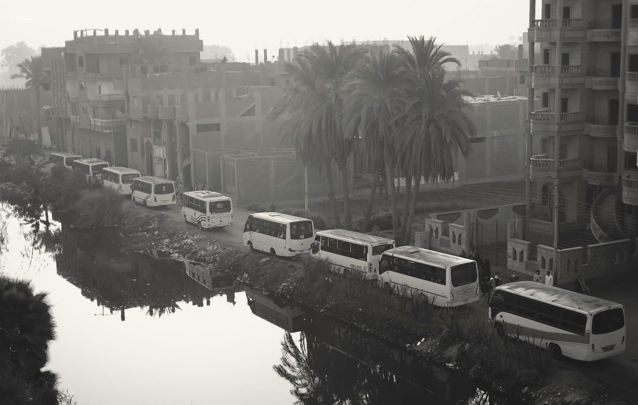 عدد من الأتوبيسات عدد من الأتوبيسات