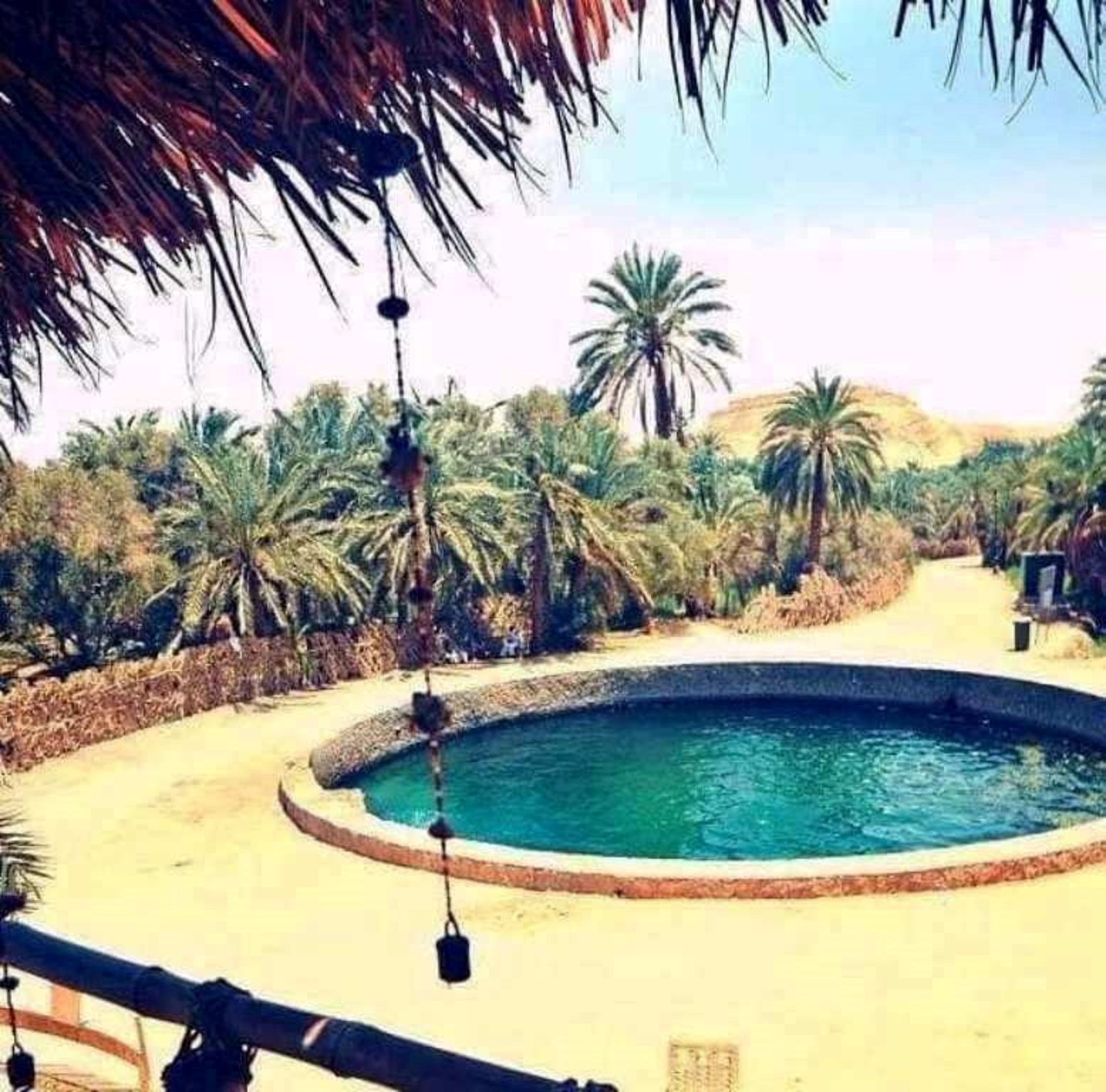 عيون المياه الطبيعية - واحة سيوة عيون المياه الطبيعية - واحة سيوة