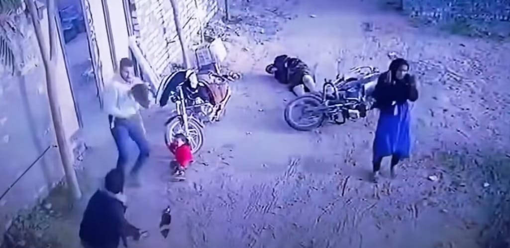 511d6cf0-6460-43c5-8c94-02fba9b2b18b 511d6cf0-6460-43c5-8c94-02fba9b2b18b