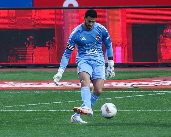 محمد الشناوى محمد الشناوى