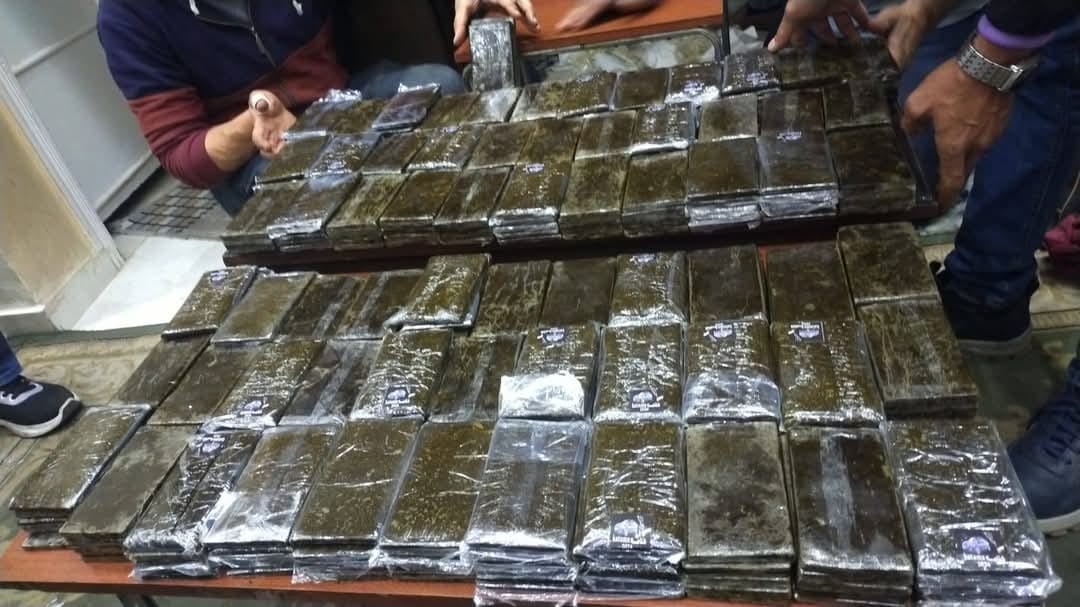 f8f19134-b0af-4f8c-85db-4b375c0b03fc