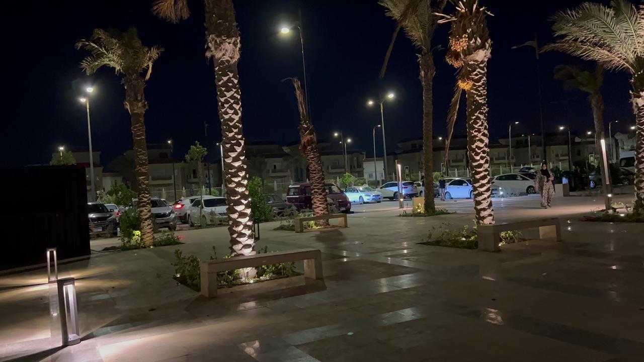 نخيل وهدوء وجمال علي الممشي السياحي بالمنصورة الجديدة نخيل وهدوء وجمال علي الممشي السياحي بالمنصورة الجديدة