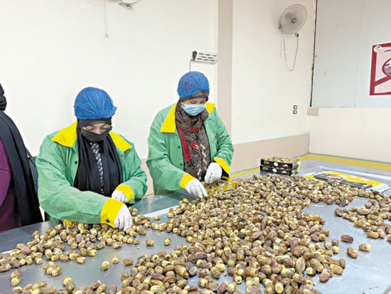 العاملات-داخل-مصنع-تمور-التكافل0000 العاملات-داخل-مصنع-تمور-التكافل0000