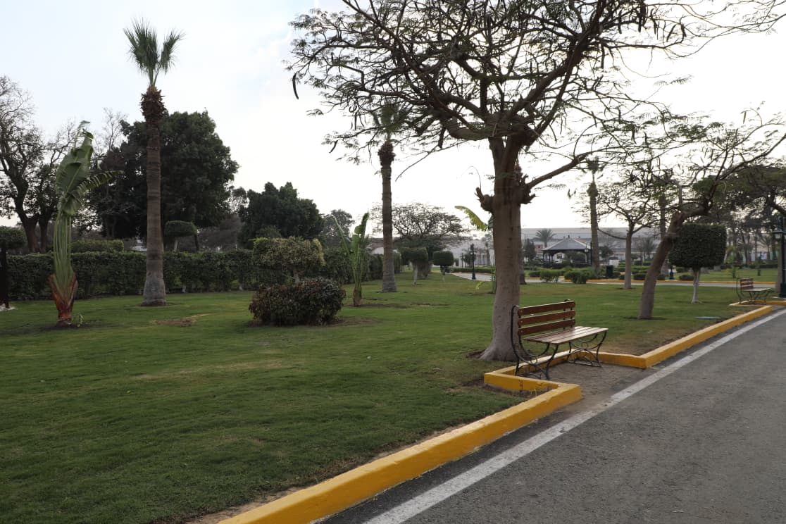 ممشى داخل الحديقة