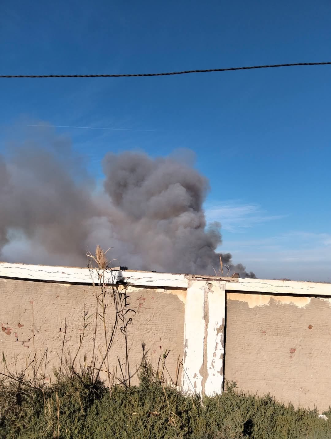 السيطرة علي حريق ارض زراعية العامرية