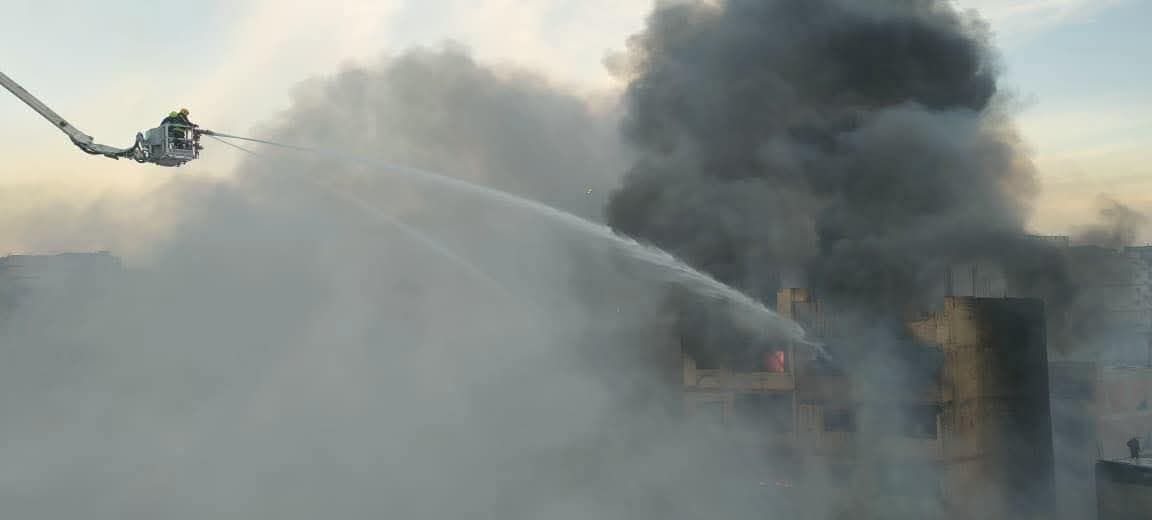 الدارون الدارون