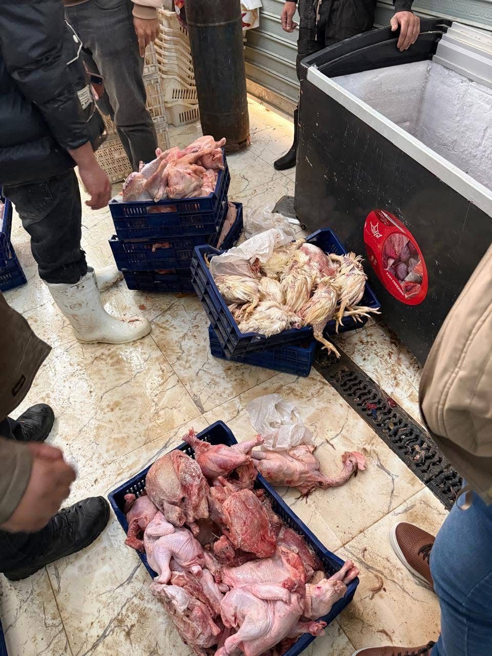 التحفظ علي كمية من الدواجن بمحل طيور شهير بالهرم التحفظ علي كمية من الدواجن بمحل طيور شهير بالهرم