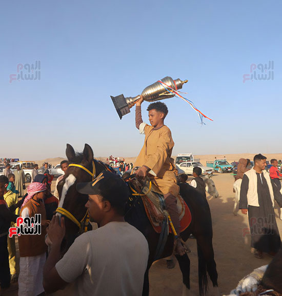 مرماح الخيول بالكوبانية (2)