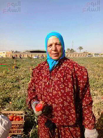 بشاير-الخير بشاير-الخير