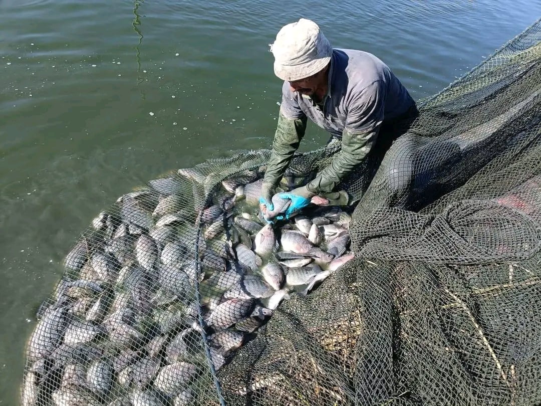 طرح المنتجات بأسعارمخفضة طرح المنتجات بأسعارمخفضة