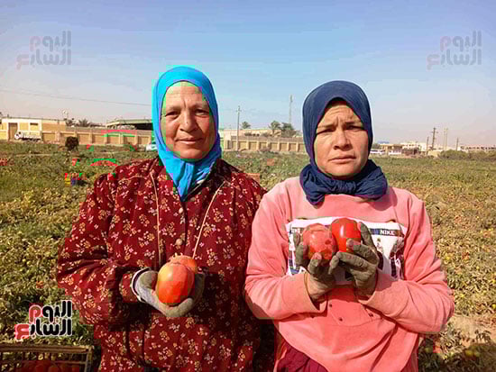 الايادى-الناعمة-تحصد-الخير_1 الايادى-الناعمة-تحصد-الخير_1