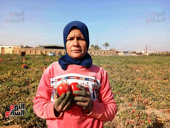 الايادى-العاملة_1 الايادى-العاملة_1