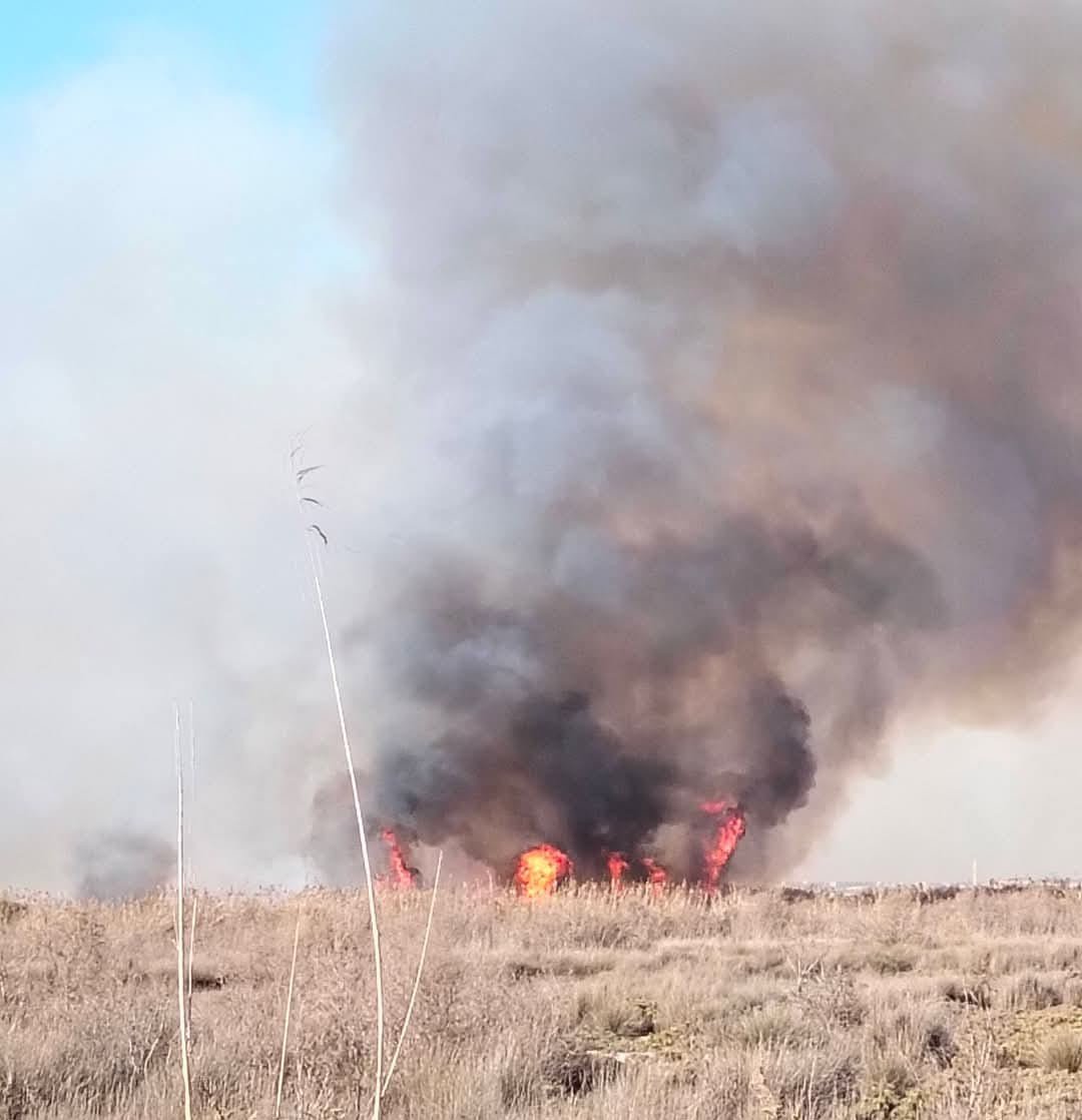 حريق هيش في غرب الإسكندرية