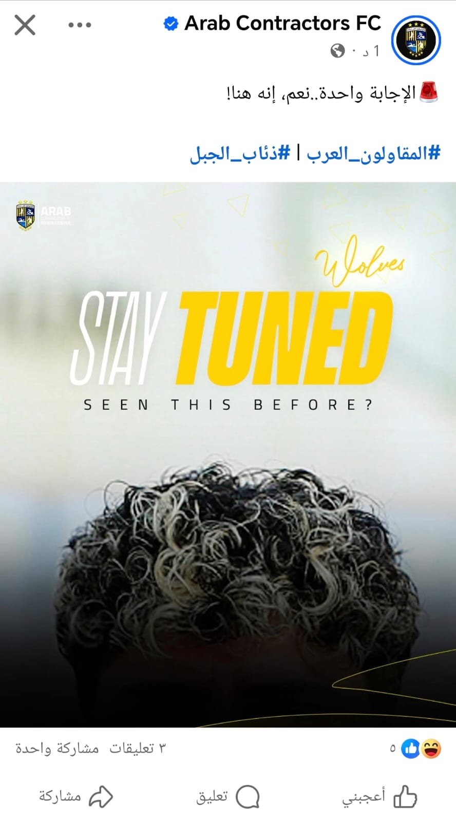 المقاولون العرب