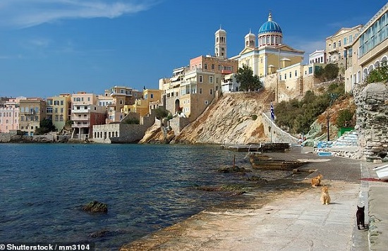 جزيرة يونانية تقدم إقامة مجانية بشرط رعاية القطط