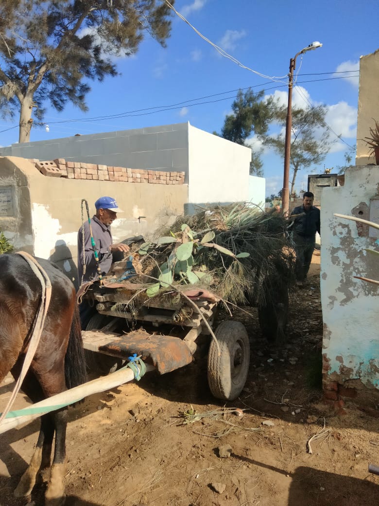 نقل المخلفات لخارج المقابر نقل المخلفات لخارج المقابر