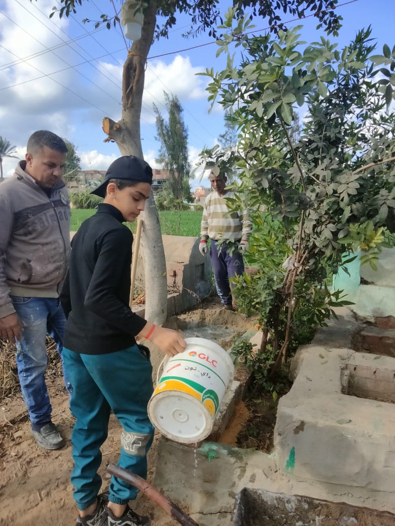 العناية بري الأشجار العناية بري الأشجار