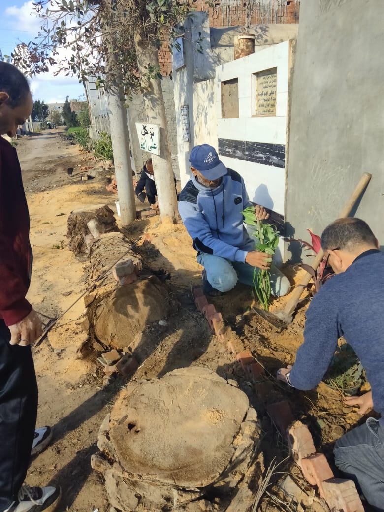 زراعة الأشجار_1 زراعة الأشجار_1