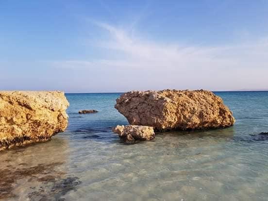 نطاق محمية وادى الجمال نطاق محمية وادى الجمال