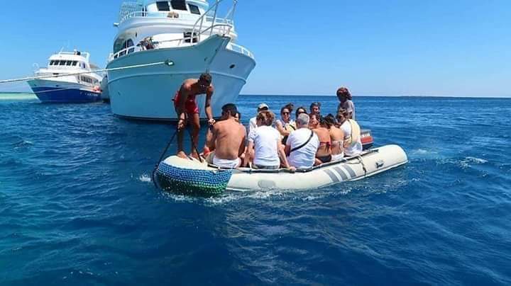 رحلات الدولفين هاوس بمرسى علم رحلات الدولفين هاوس بمرسى علم