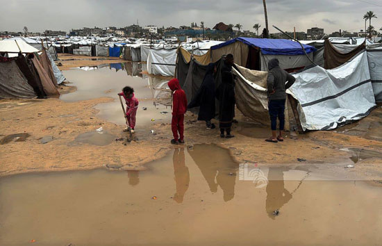 قسوة الحياة فى غزة قسوة الحياة فى غزة