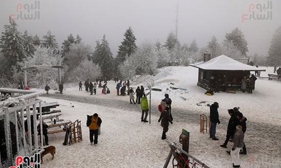 الجليد يزين ألماينا