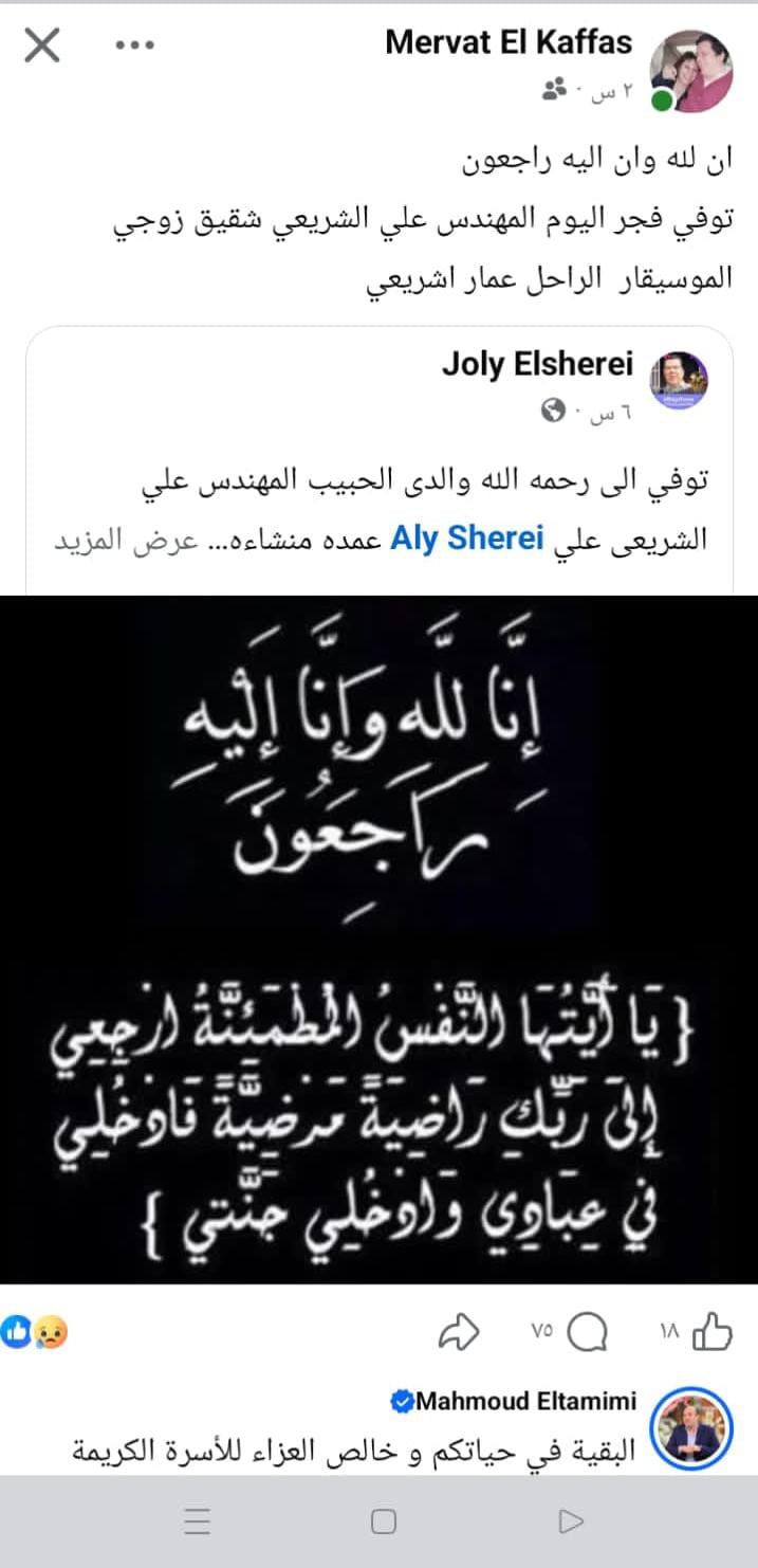 ميرفت القفاص على فيس بوك