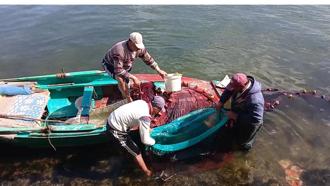  صيد الأسماك بالمجداف والشباك في بوغاز عزبة البرج8