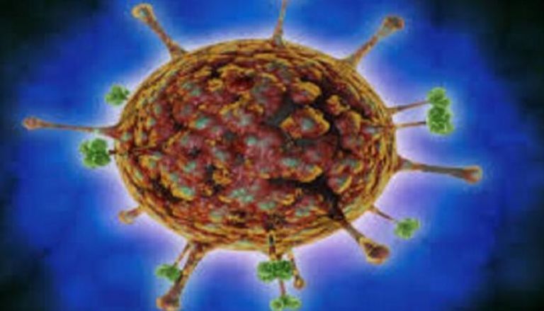 فيروس نيباه كندا فيروس نيباه كندا