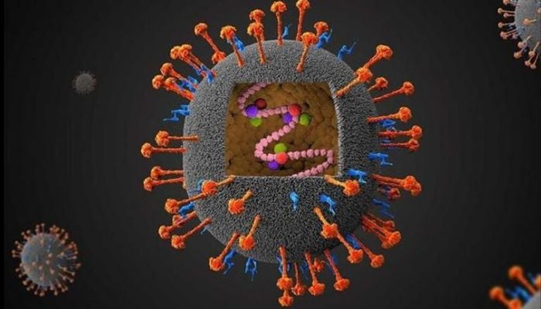 فيروس نيباه فيروس نيباه