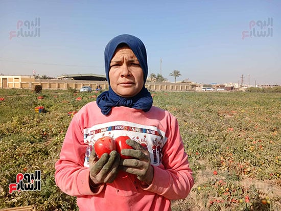 الايادى-العاملة