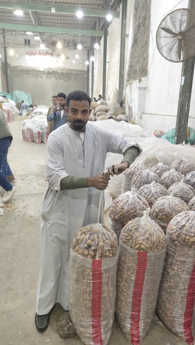 سوق البلح في طنطا