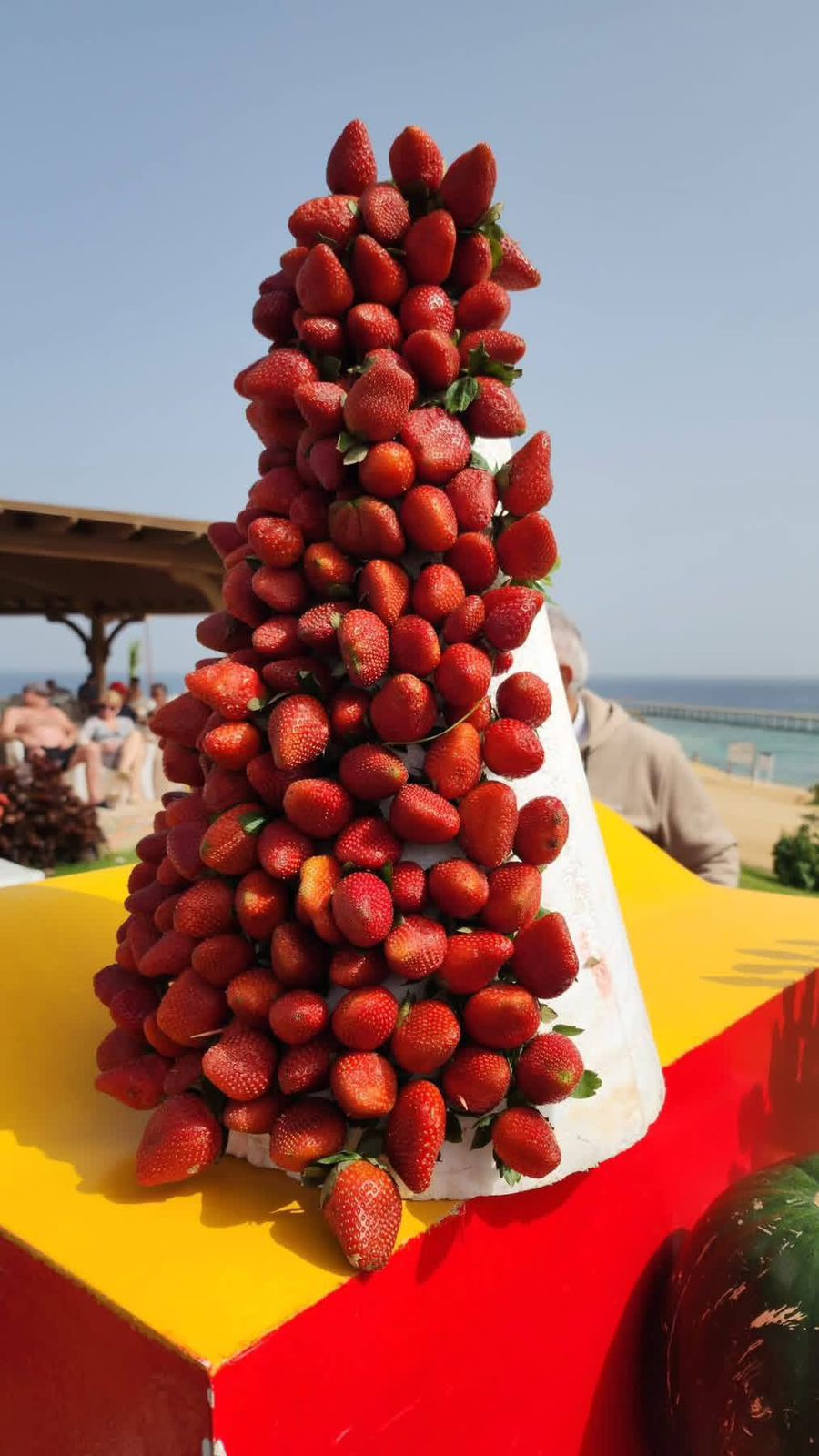 الفواكه بمرسى علم الفواكه بمرسى علم