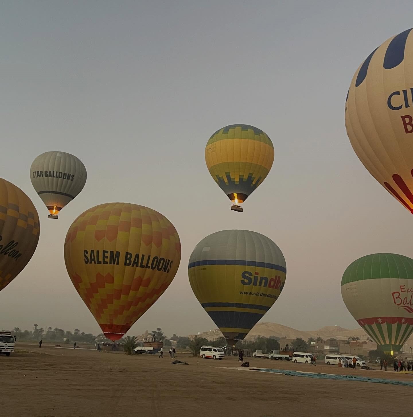 الأقصر تشهد تحليق 90 رحلة بالون طائر الأقصر تشهد تحليق 90 رحلة بالون طائر