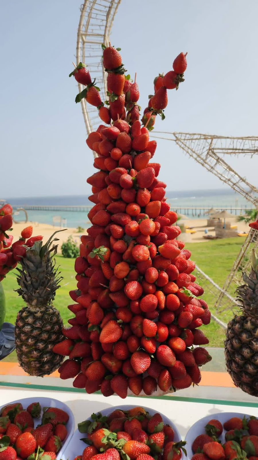 مهرجان الفواكه 