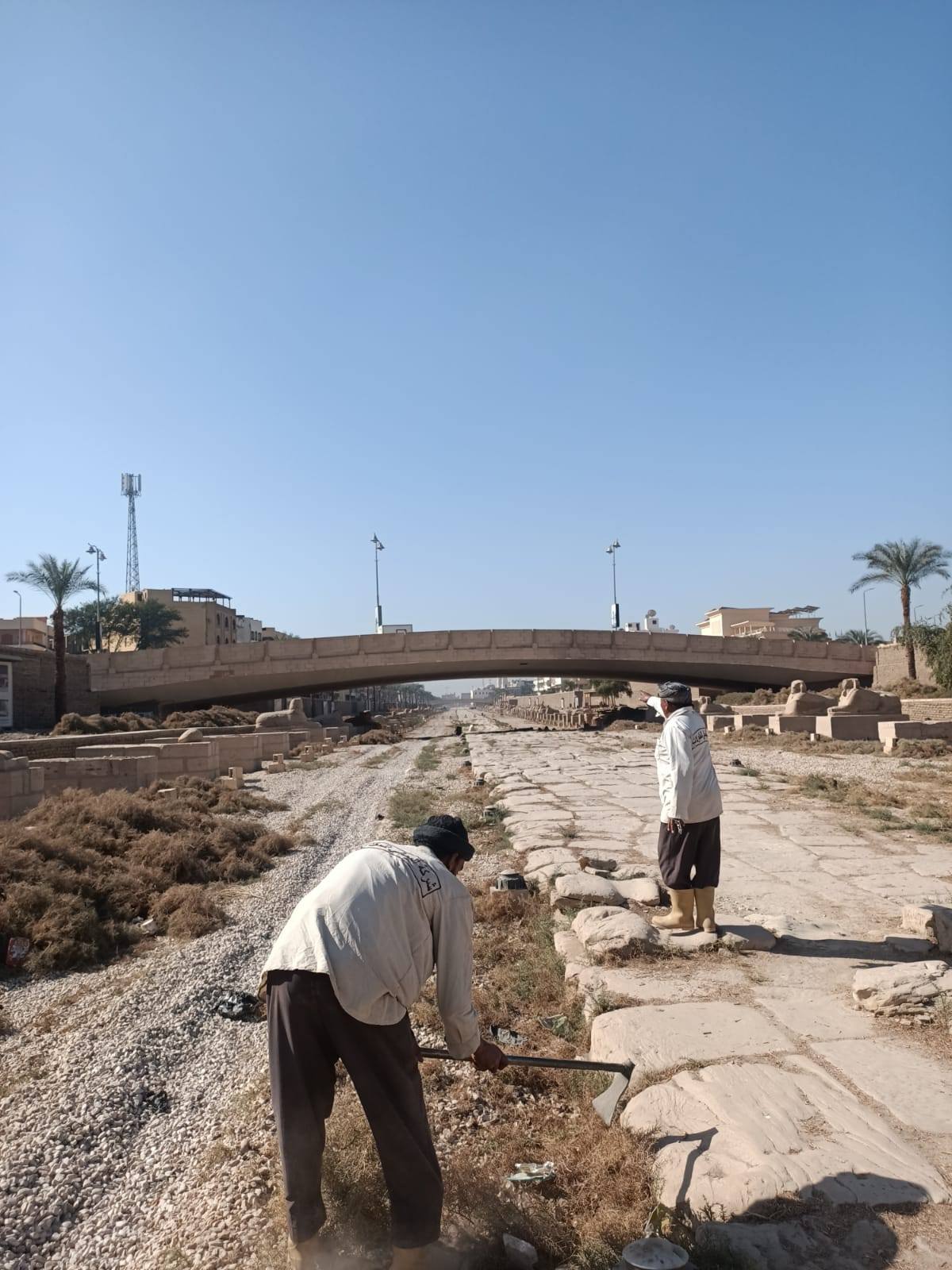 منطقة آثار الأقصر تتعاقد مع شركة نظافة متخصصة للنظافة الدورية بطريق الكباش