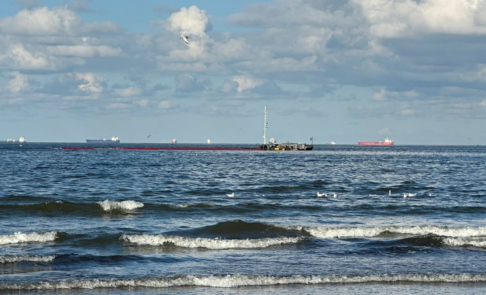 السفينة اليوم الجمعة