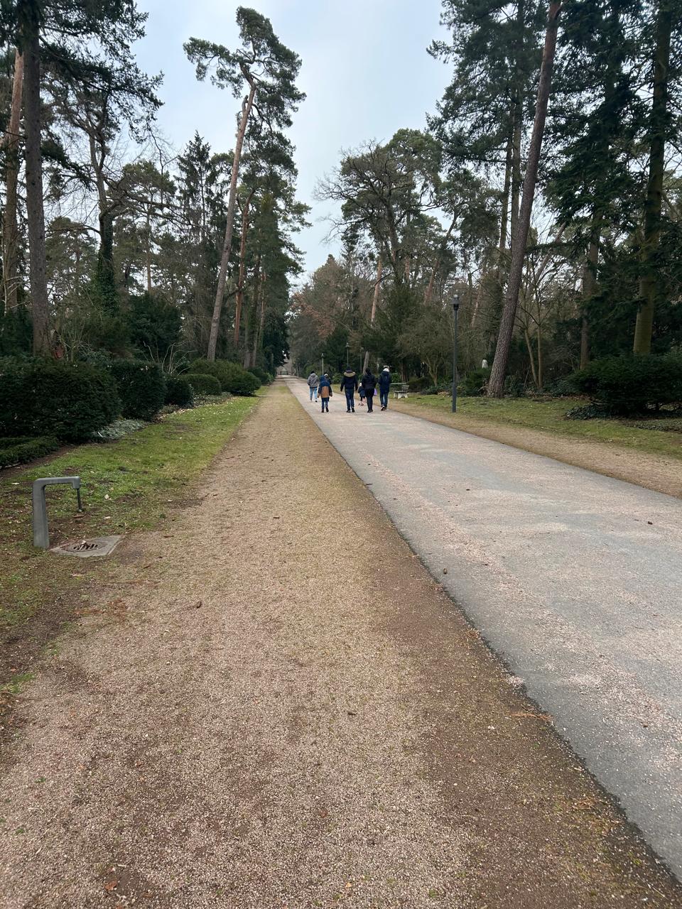 6df884d2-e06c-4f1b-bcbe-bd77bf8d7dea