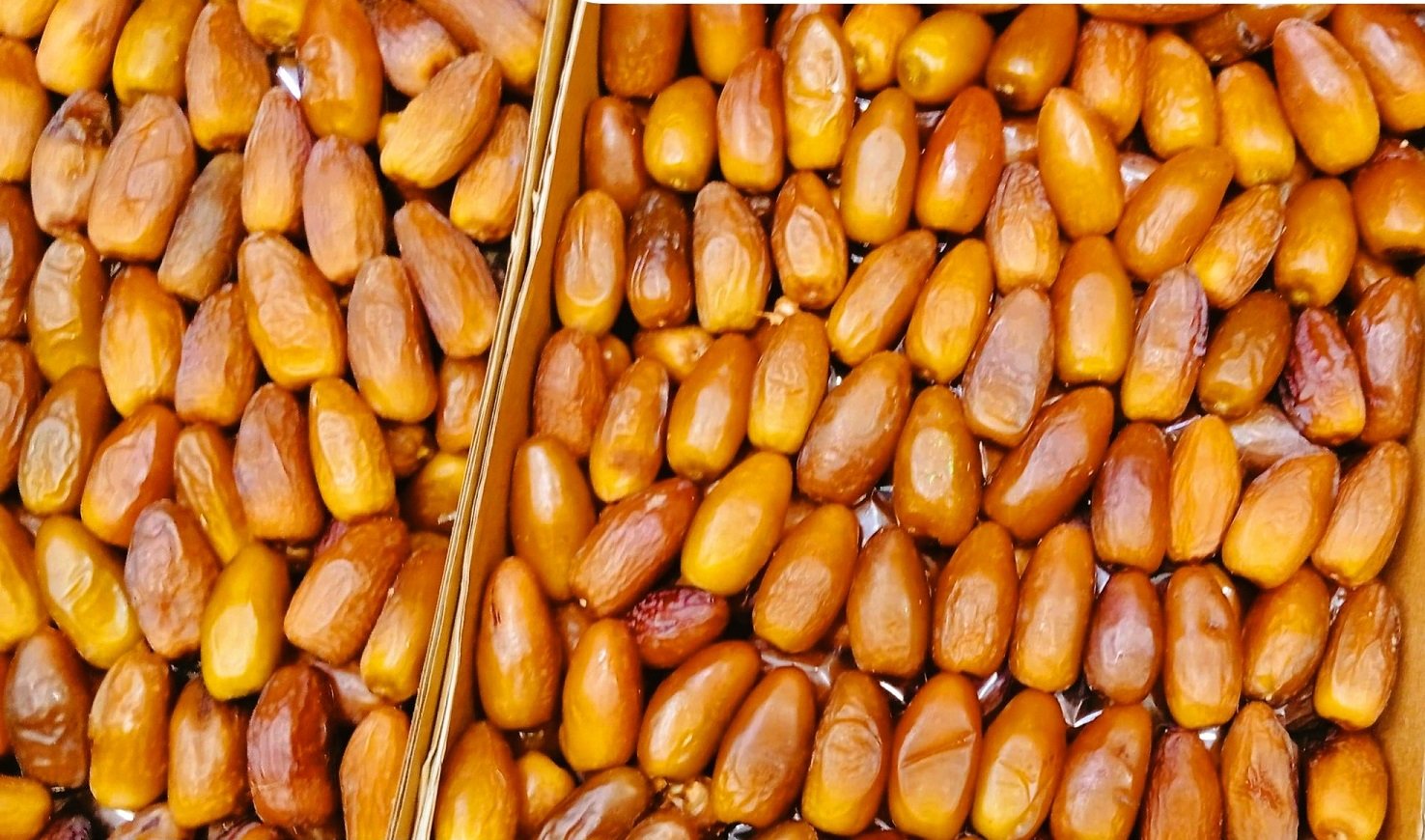 انواع واسعار البلح السيوي