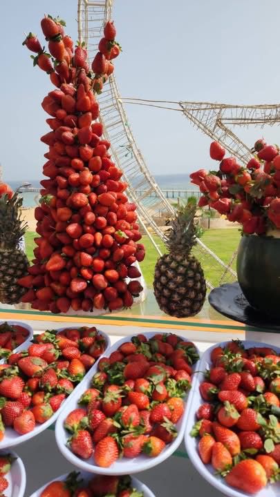 أشكال وأنواع الفواكه أشكال وأنواع الفواكه