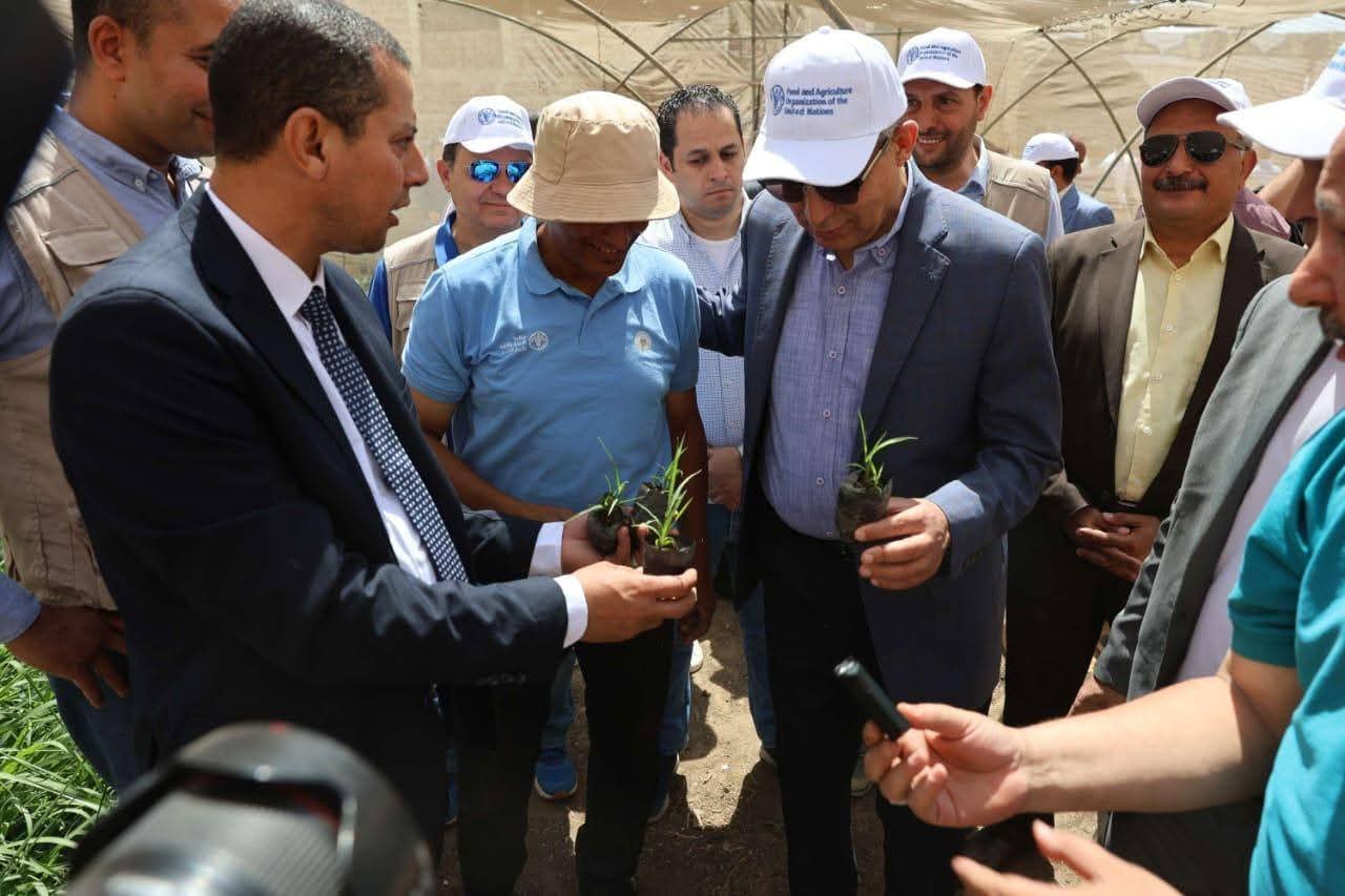 طفرة فى زراعة المنيا (1)